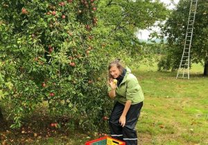 appels