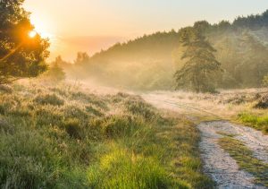 nationaal park