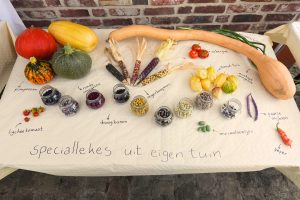 Ontwerp zonder titel - 1